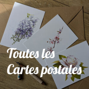 Toutes les cartes postales